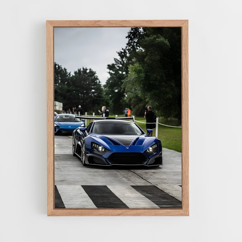 Poster Zenvo élégant (vue 4)