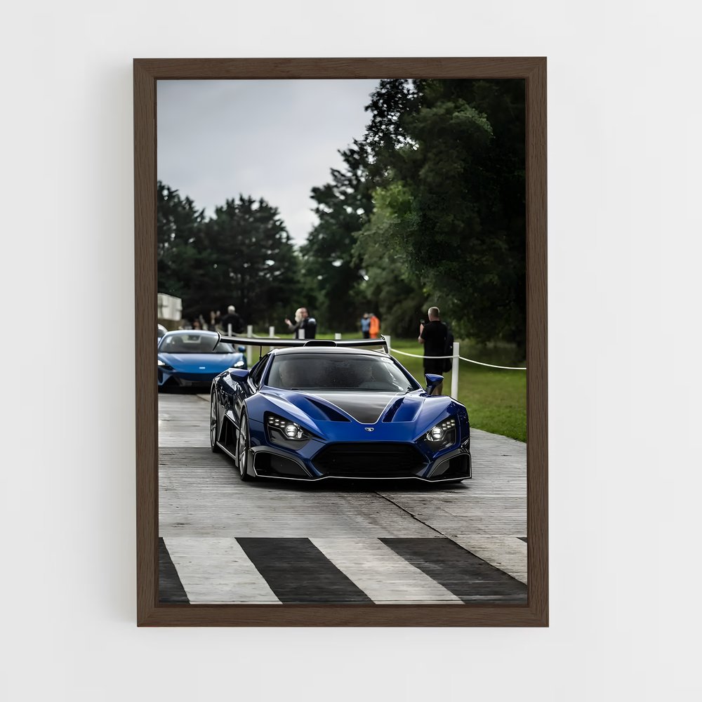 Poster Zenvo élégant (vue 5)