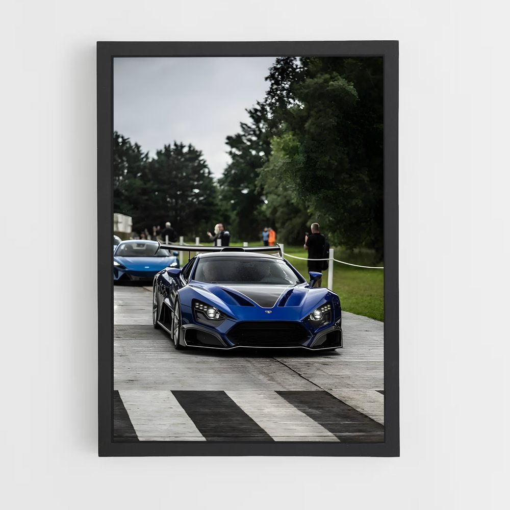 Poster Zenvo élégant (vue 2)