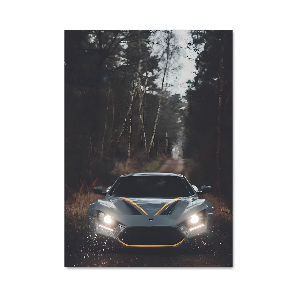 Poster Éclat Zenvo