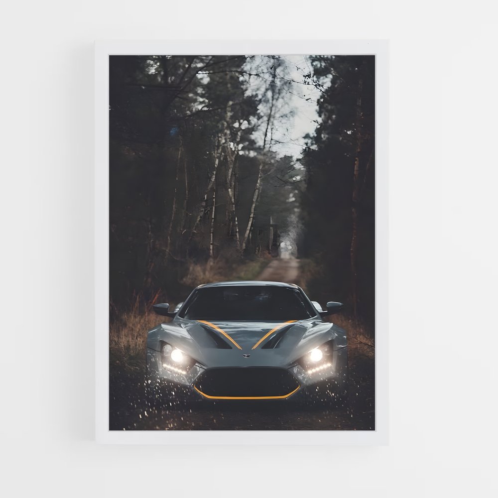 Poster Éclat Zenvo (vue 3)