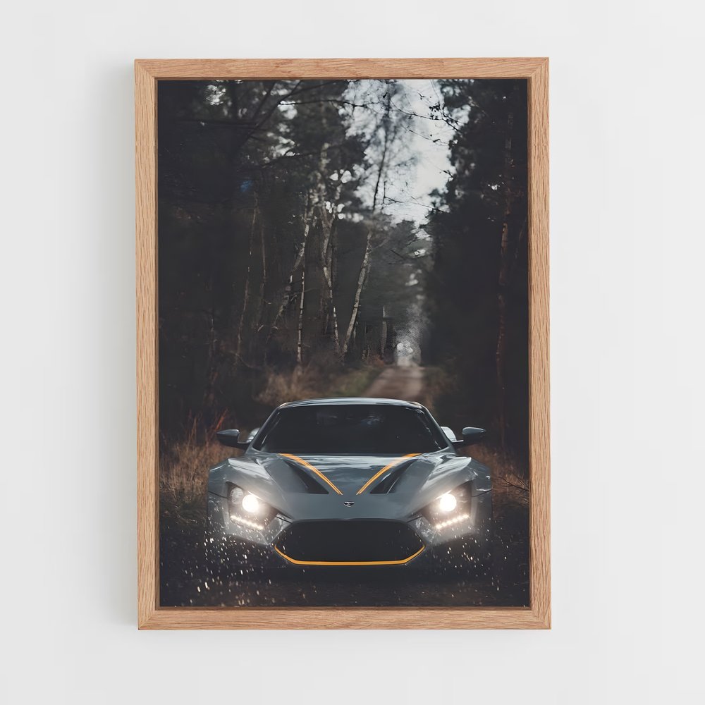 Poster Éclat Zenvo (vue 4)