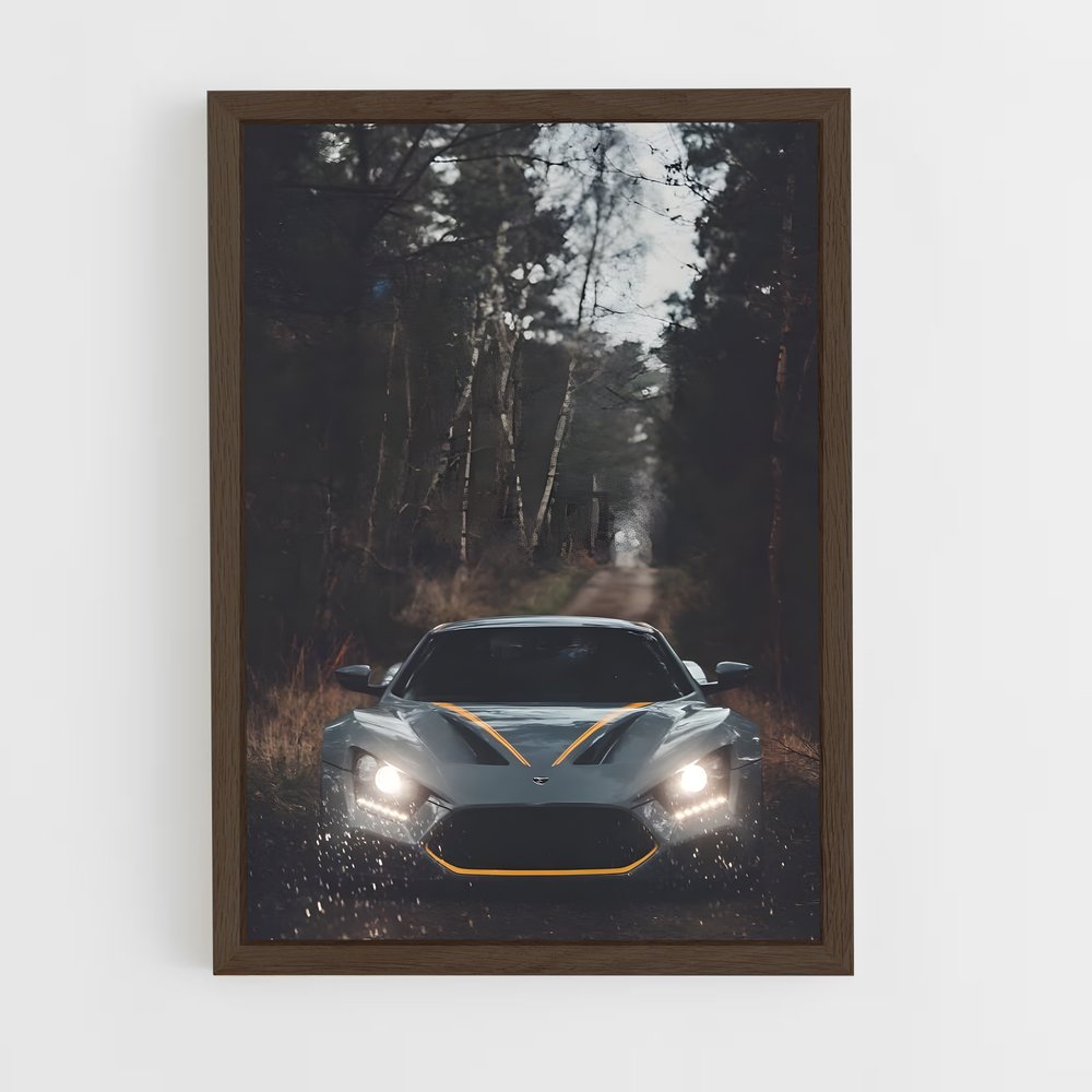 Poster Éclat Zenvo (vue 5)