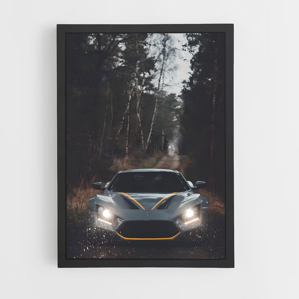 Poster Éclat Zenvo (vue 2)