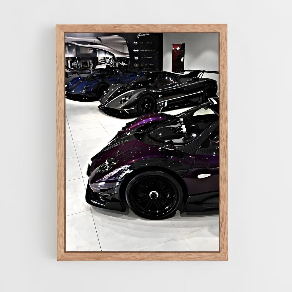 Poster Zéphyr Lumineux – affiche Pagani (vue 4)