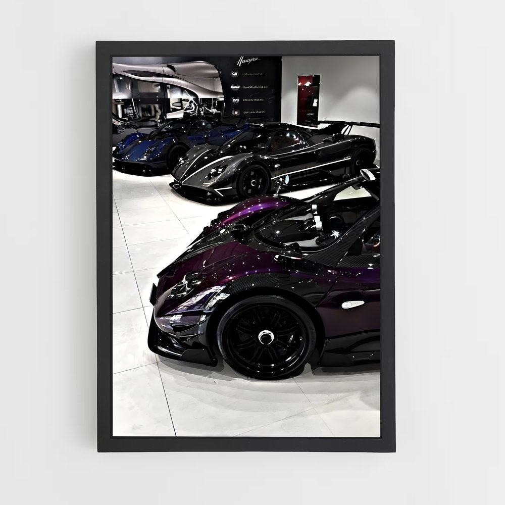 Poster Zéphyr Lumineux – affiche Pagani (vue 2)
