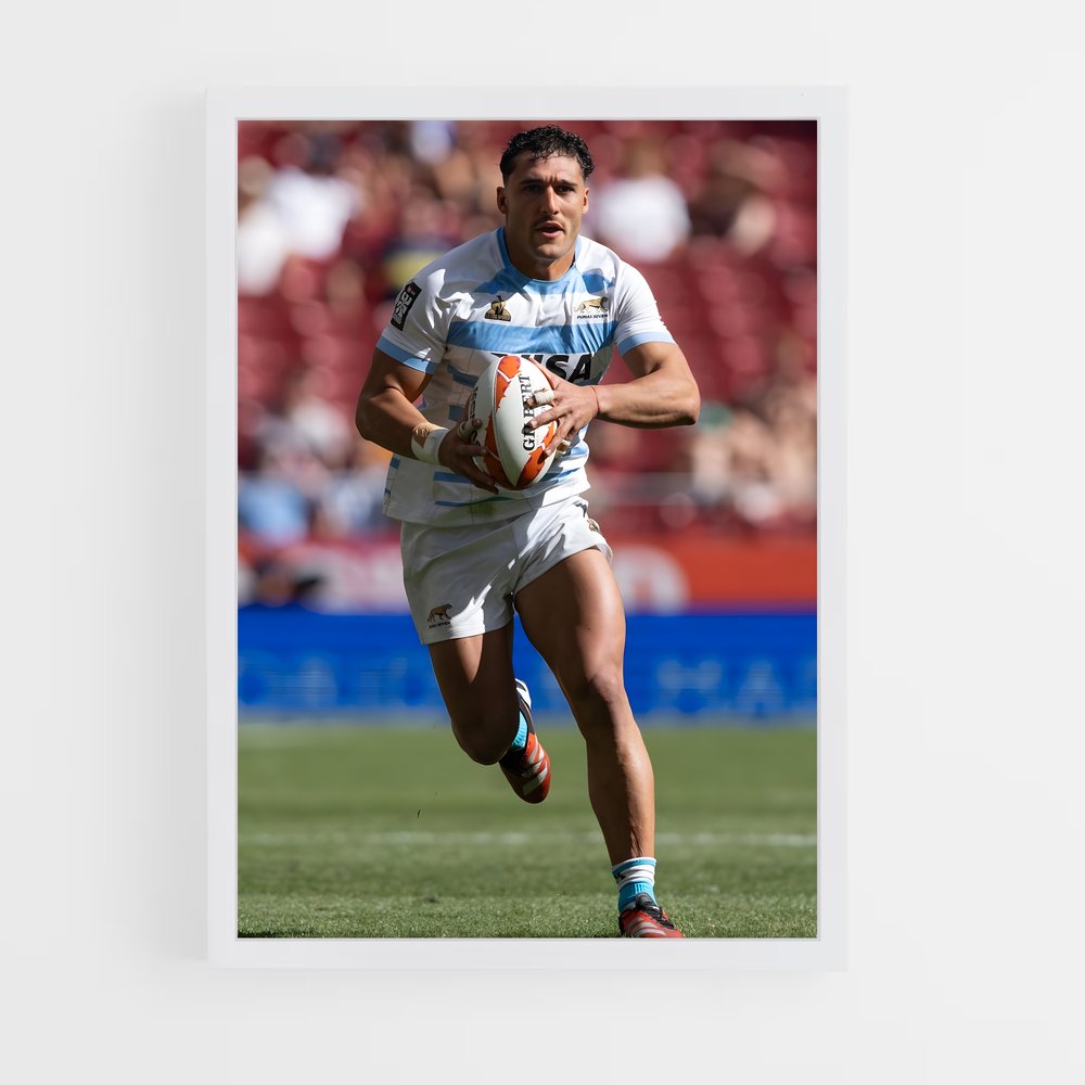 Poster Argentine Rugby Course (vue 3)
