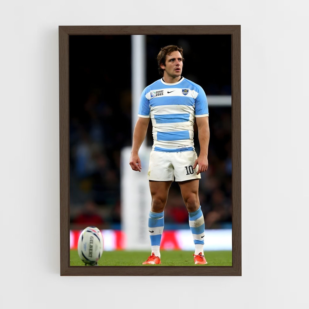 Poster Juan Martin Hernendez – affiche Rugby (vue 5)