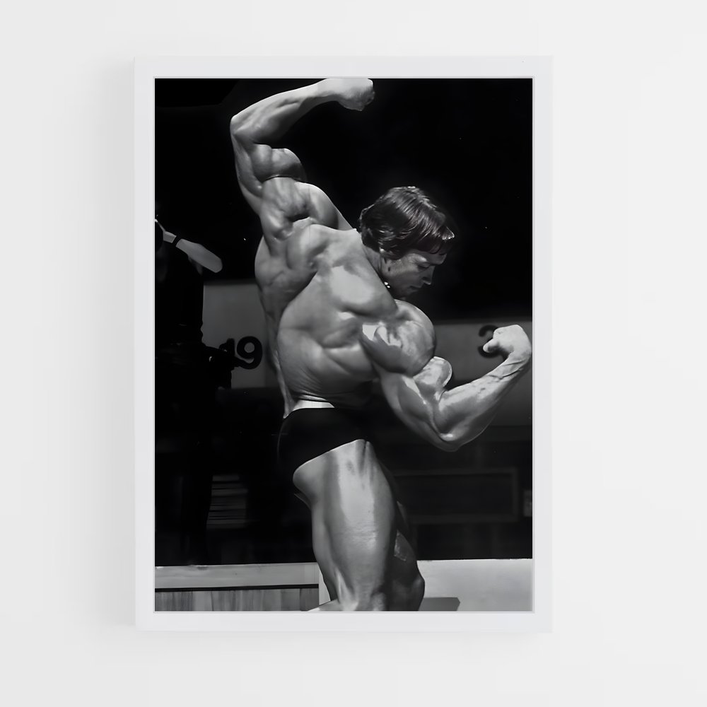Poster Arnold Dos – affiche Musculation (vue 3)