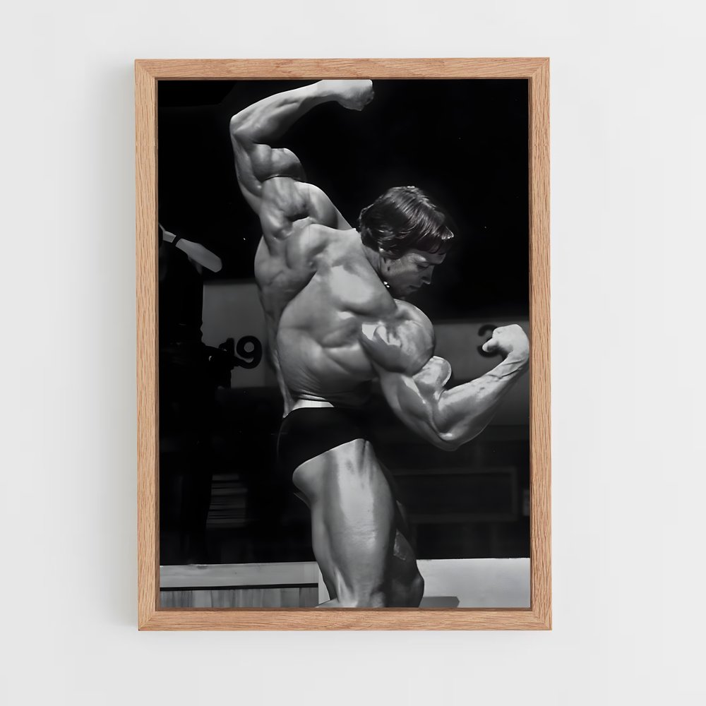 Poster Arnold Dos – affiche Musculation (vue 4)