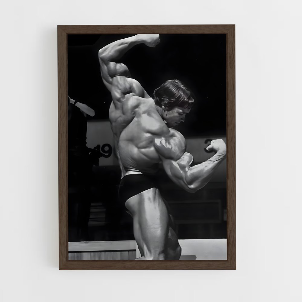 Poster Arnold Dos – affiche Musculation (vue 5)