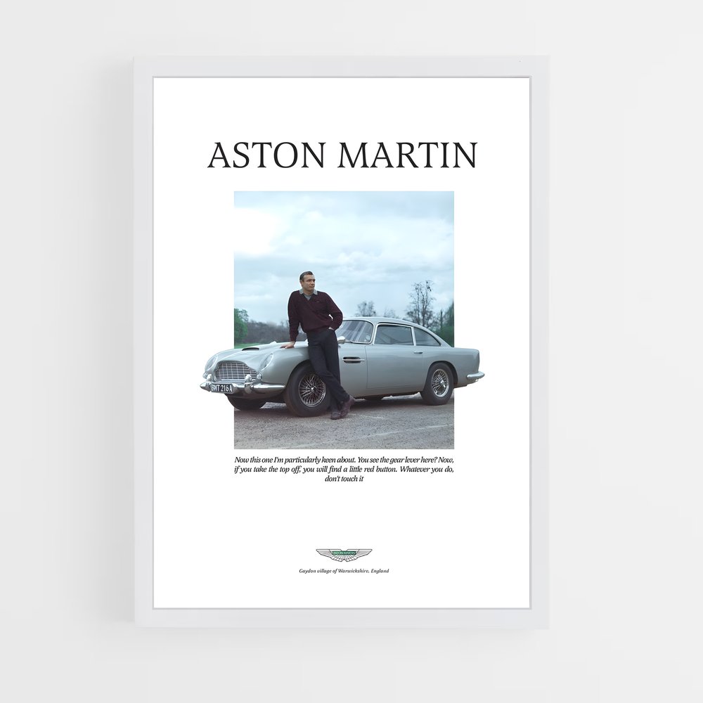 Poster Aston Martin Histoire (vue 3)