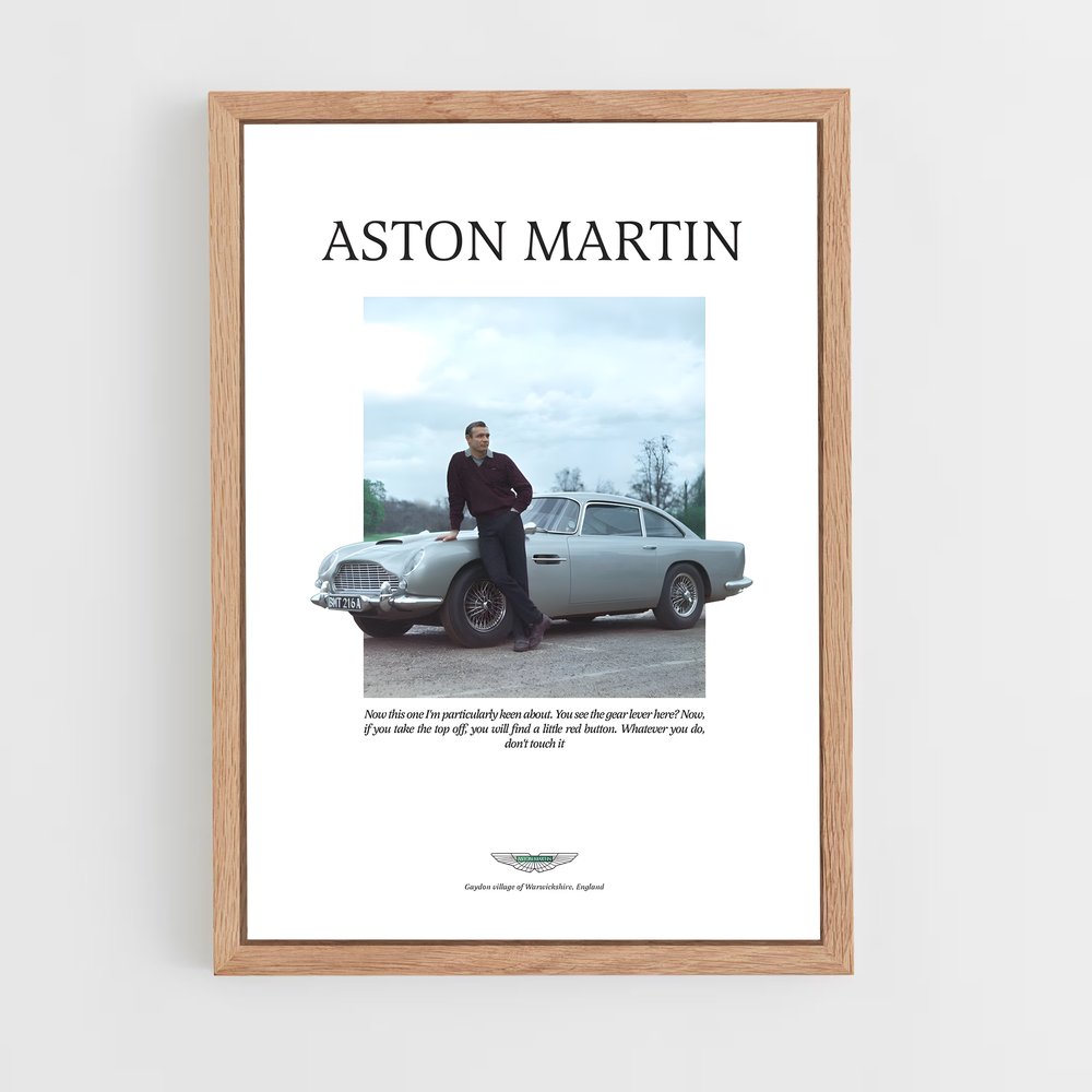Poster Aston Martin Histoire (vue 4)