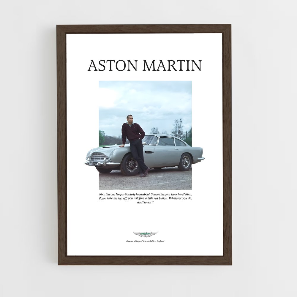 Poster Aston Martin Histoire (vue 5)