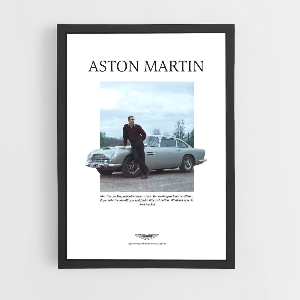 Poster Aston Martin Histoire (vue 2)