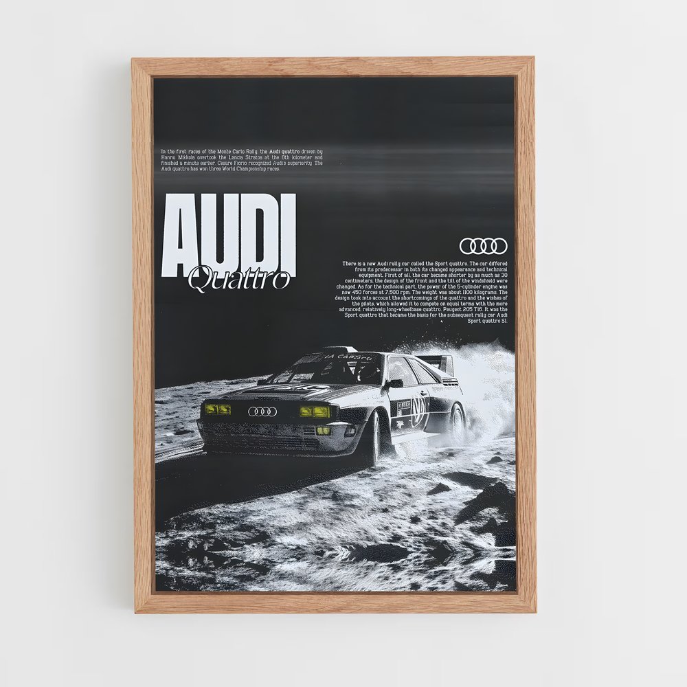 Poster Audi Lune (vue 4)