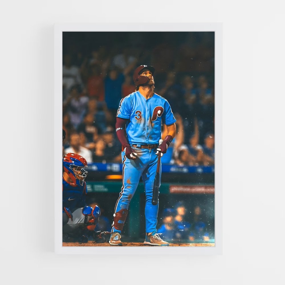 Poster Terre Baseball (vue 3)