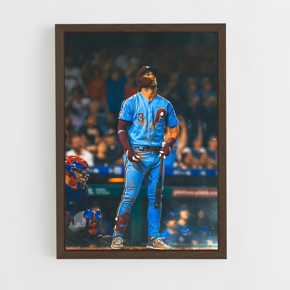 Poster Terre Baseball (vue 5)