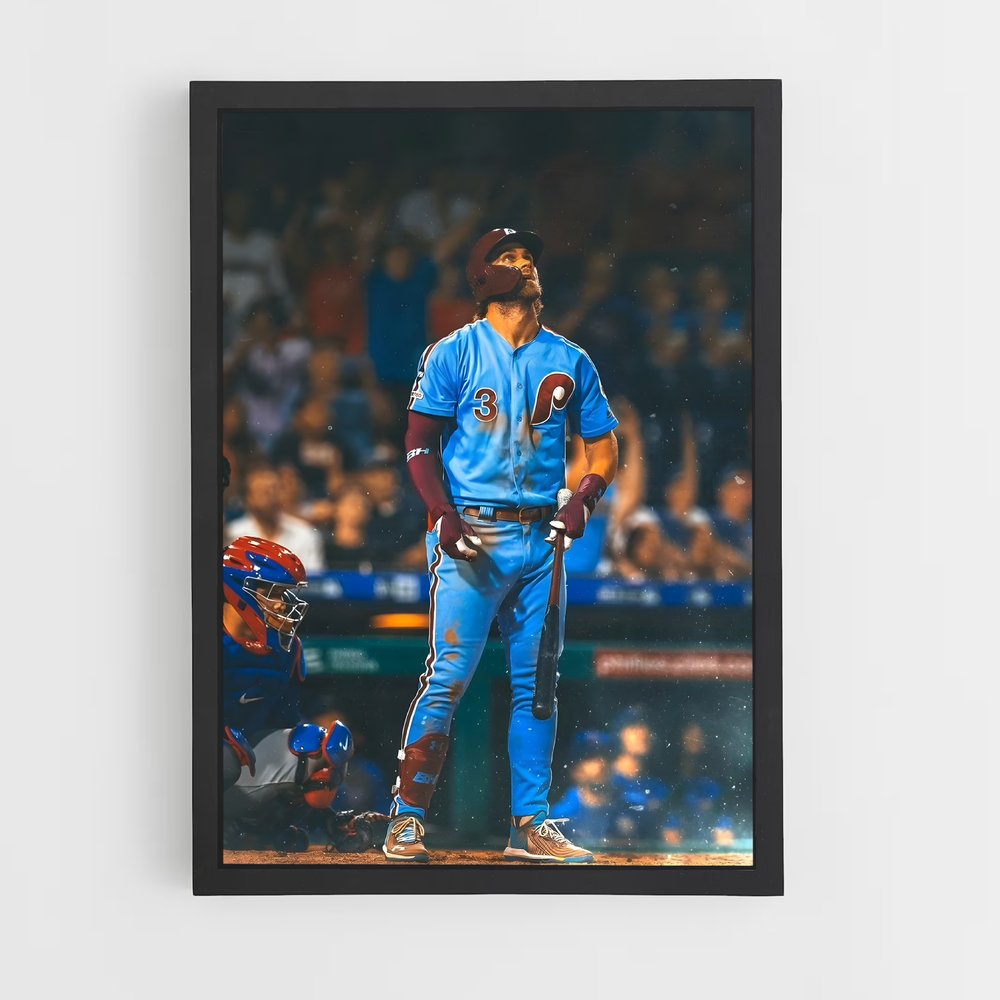 Poster Terre Baseball (vue 2)