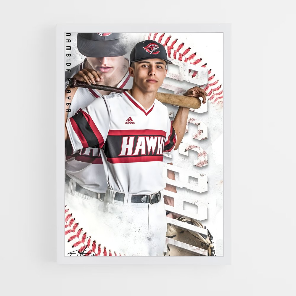 Poster Baseball Hawk (vue 3)