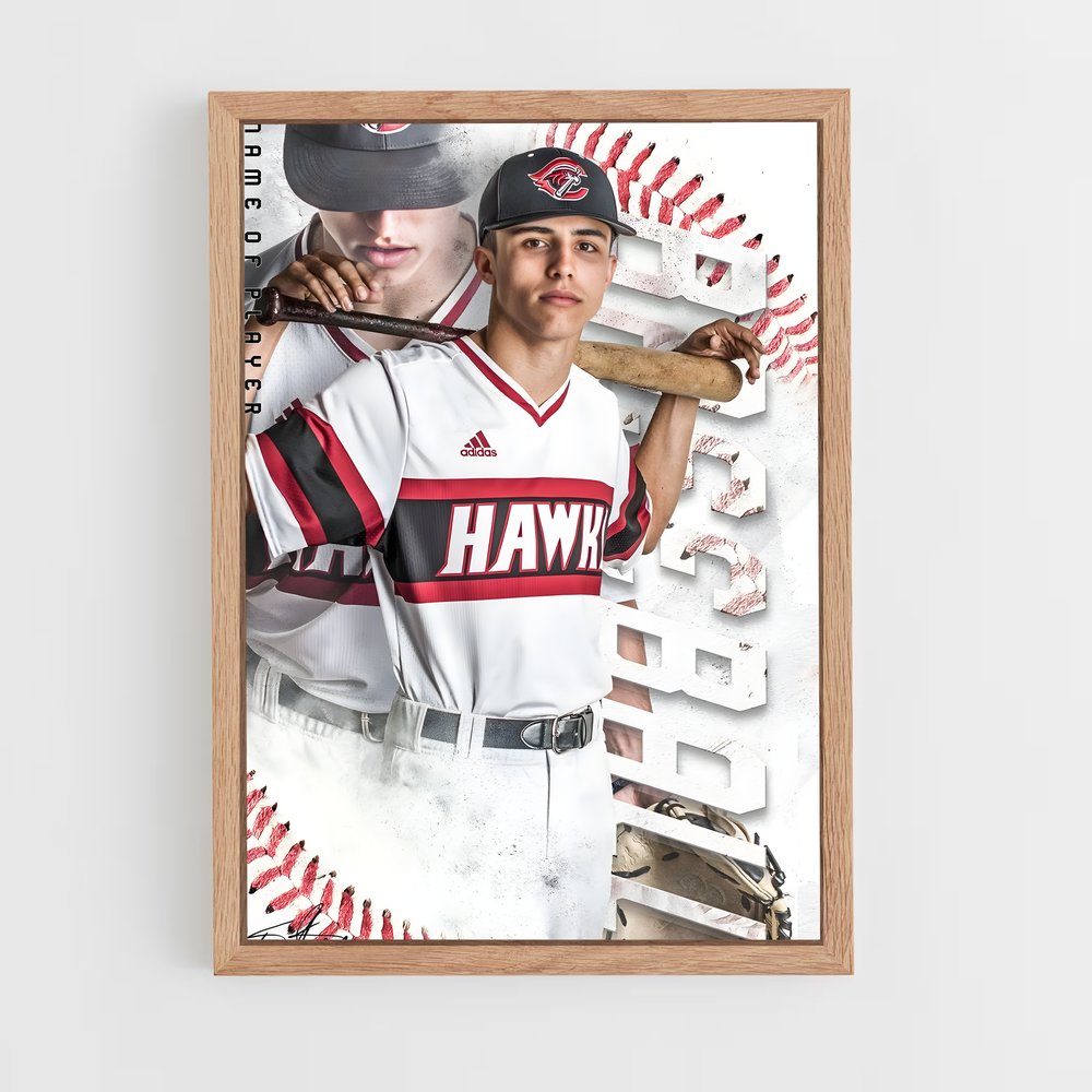 Poster Baseball Hawk (vue 4)