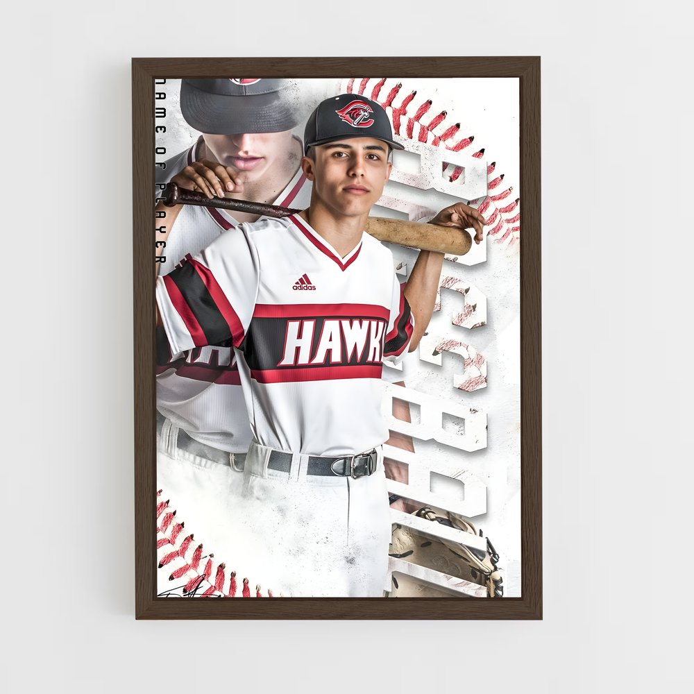 Poster Baseball Hawk (vue 5)