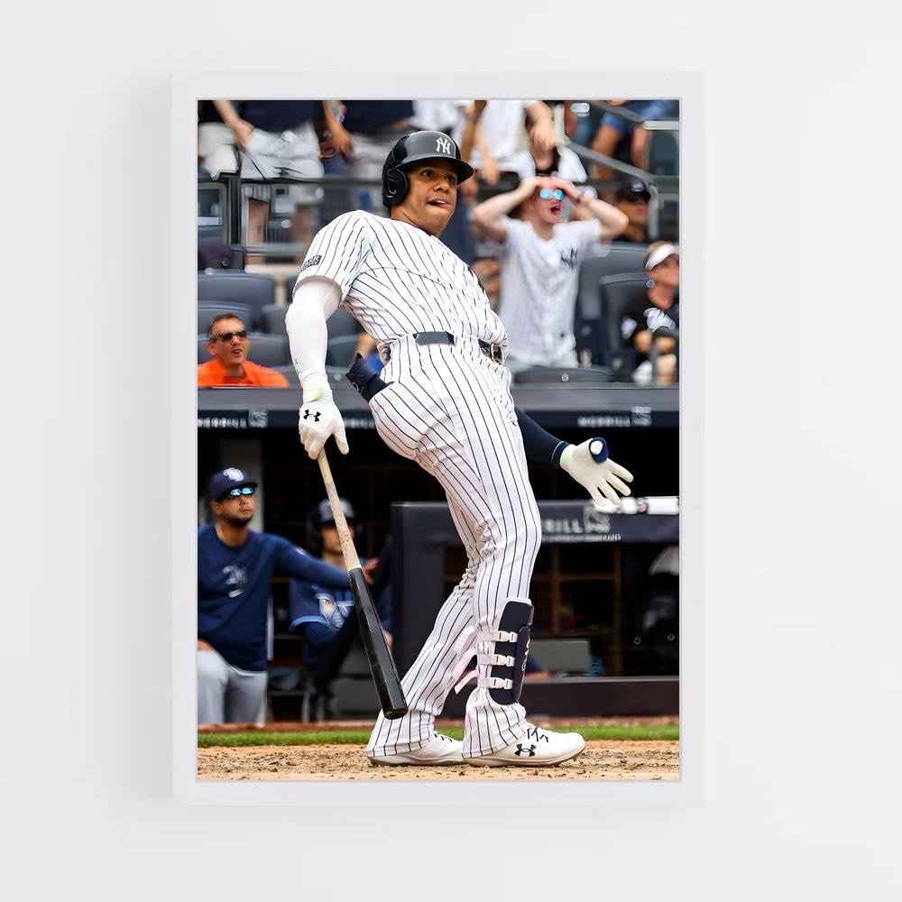 Poster Baseball Tir (vue 3)