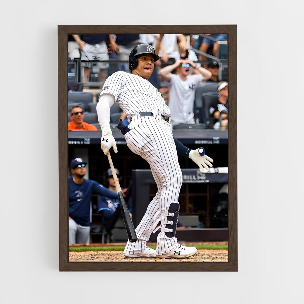 Poster Baseball Tir (vue 5)