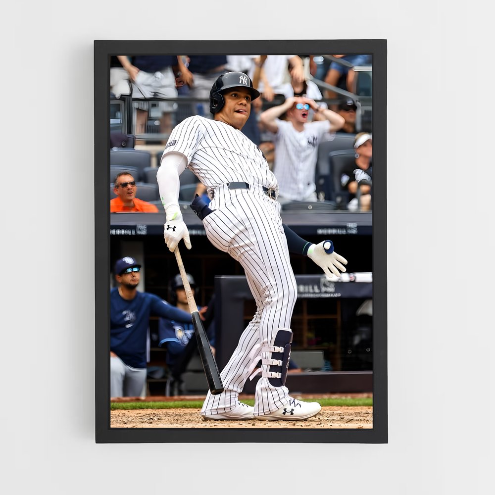 Poster Baseball Tir (vue 2)