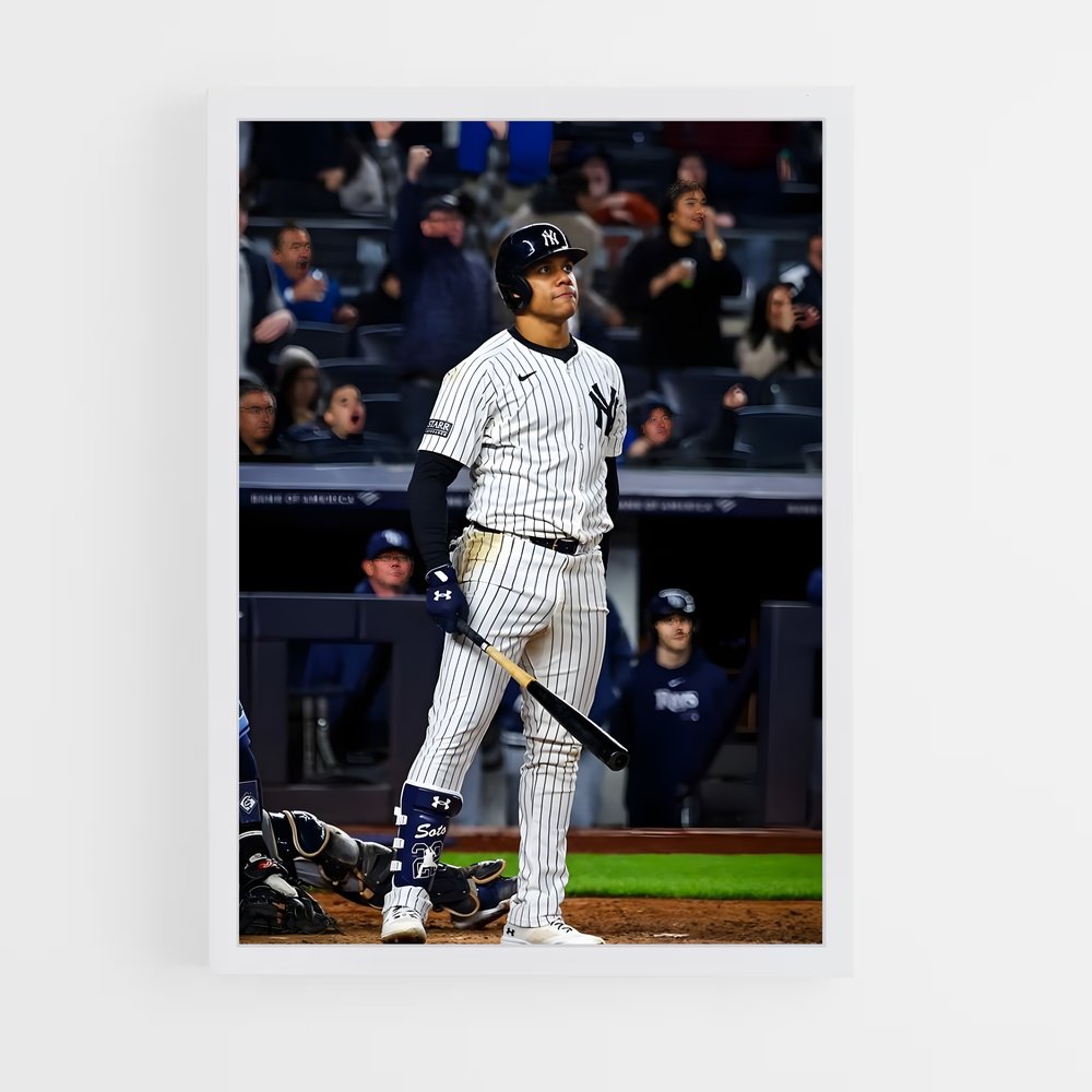 Poster Baseball New York (vue 3)