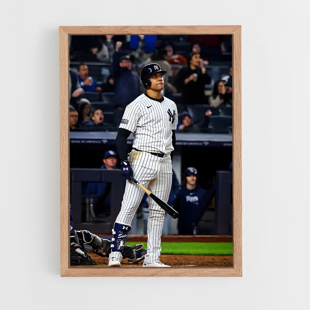 Poster Baseball New York (vue 4)