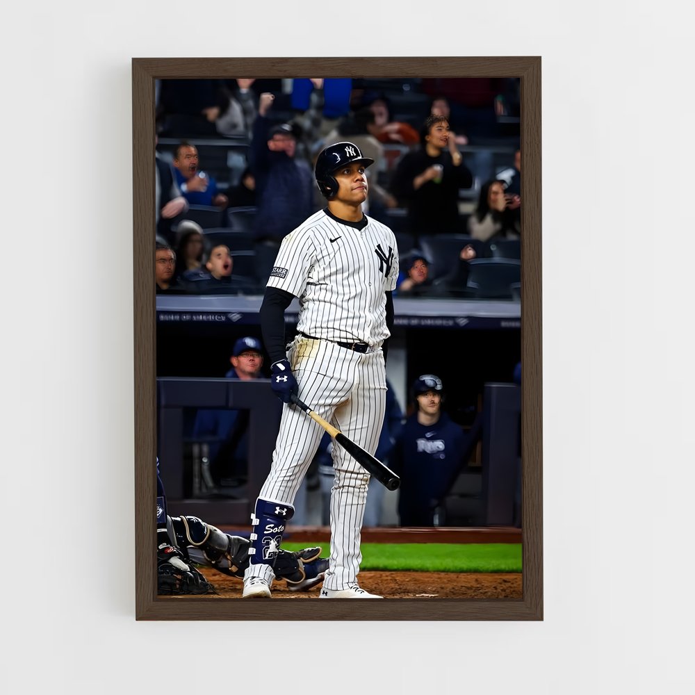 Poster Baseball New York (vue 5)