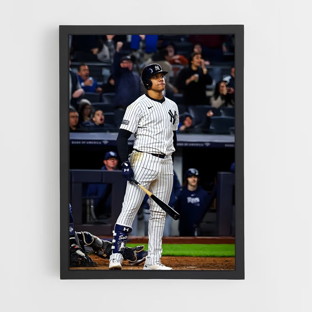Poster Baseball New York (vue 2)