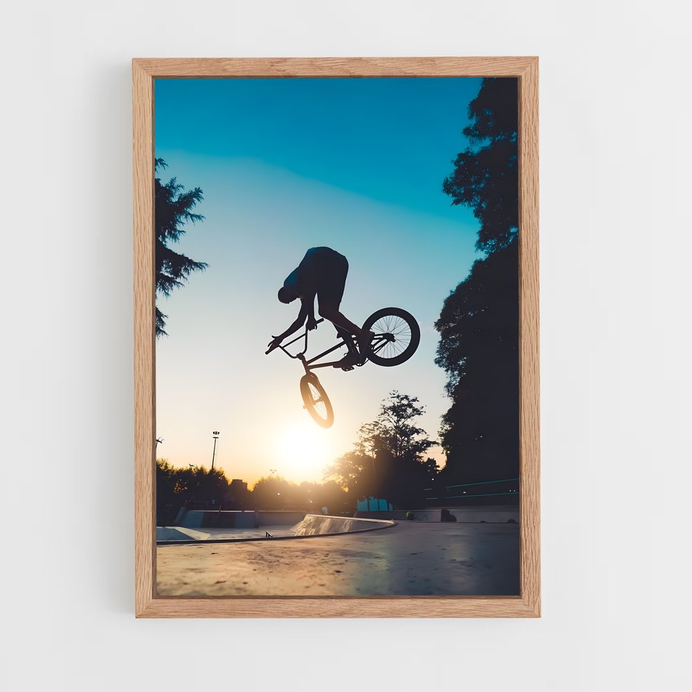 Poster BMX Skatepark (vue 4)