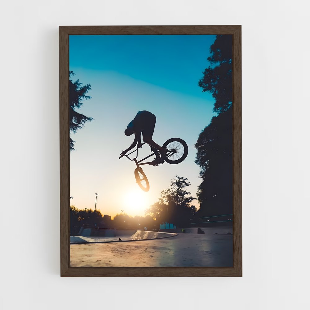 Poster BMX Skatepark (vue 5)