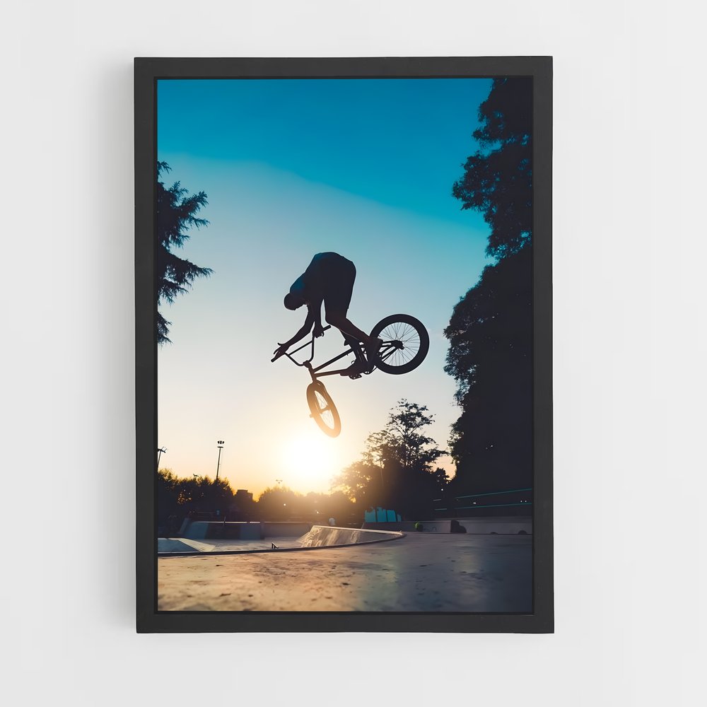 Poster BMX Skatepark (vue 2)