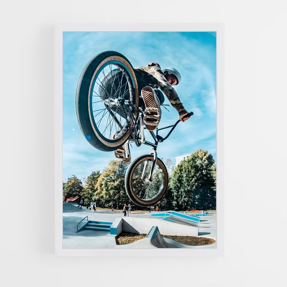 Poster BMX Stunt (vue 3)
