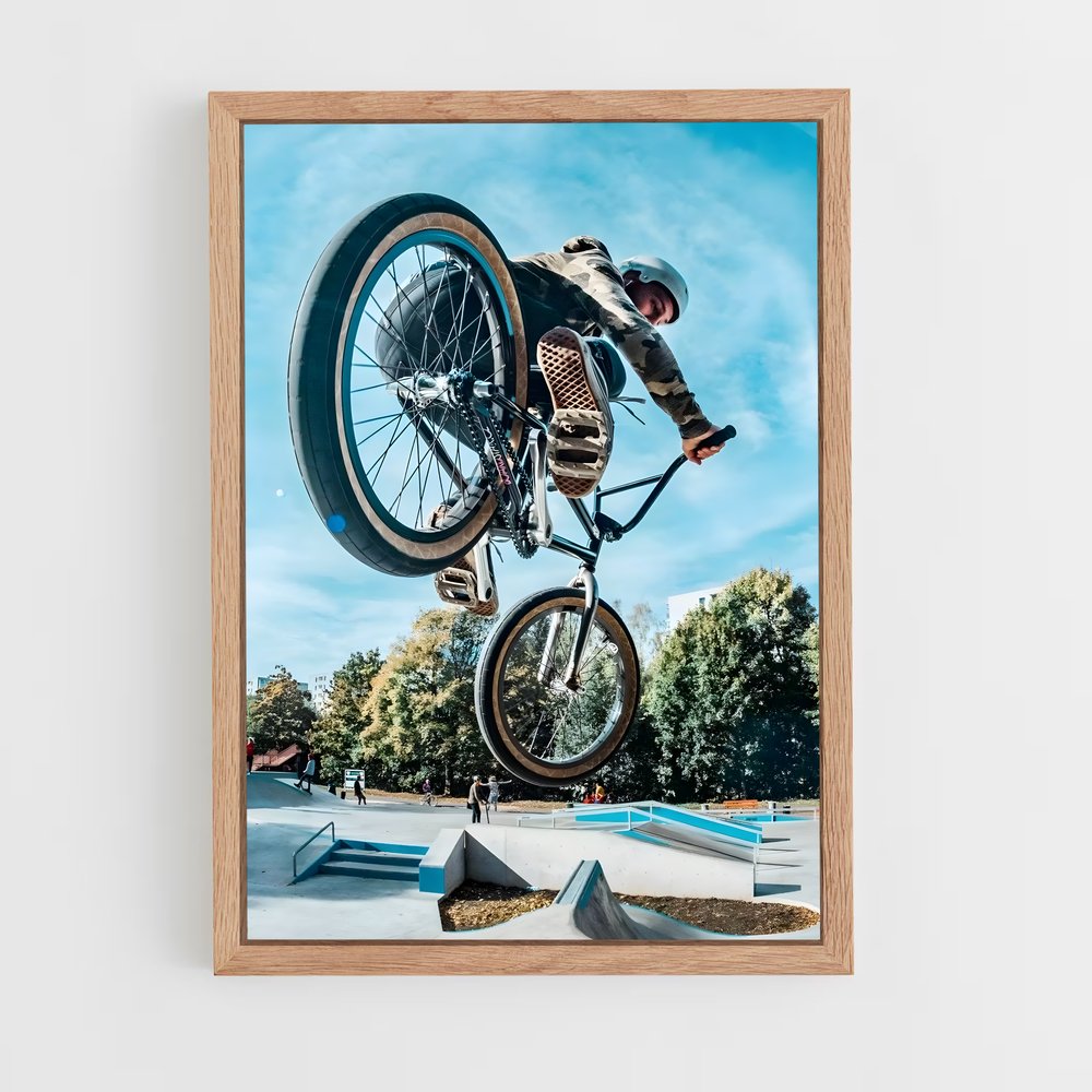 Poster BMX Stunt (vue 4)
