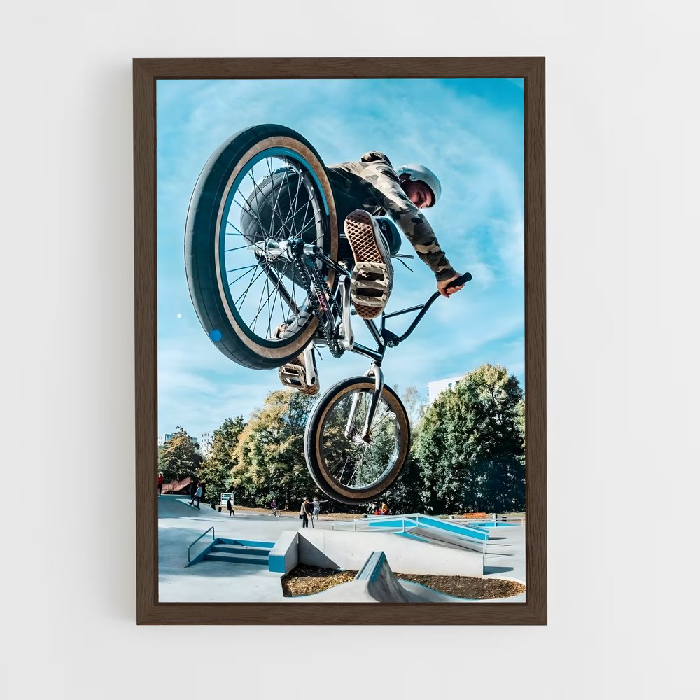 Poster BMX Stunt (vue 5)