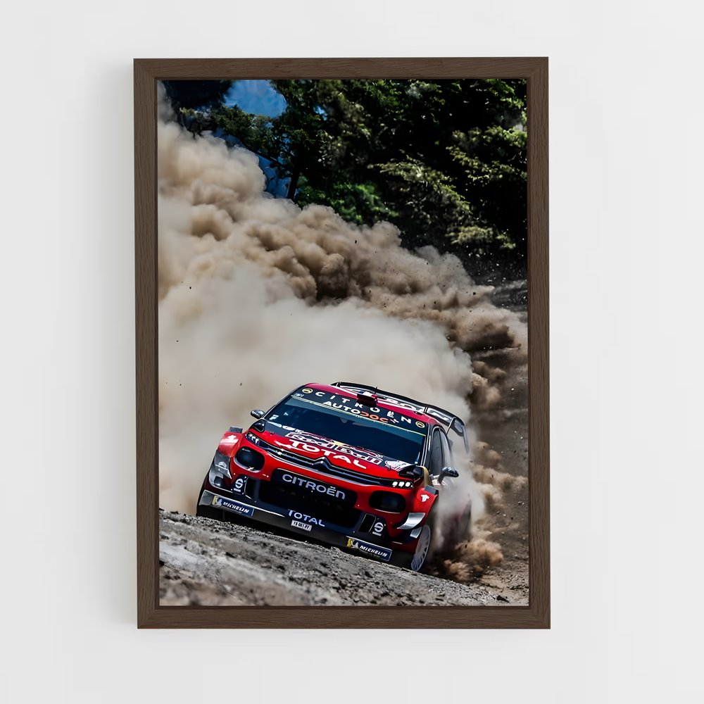 Poster Citroen Rally – affiche Citroën (vue 5)