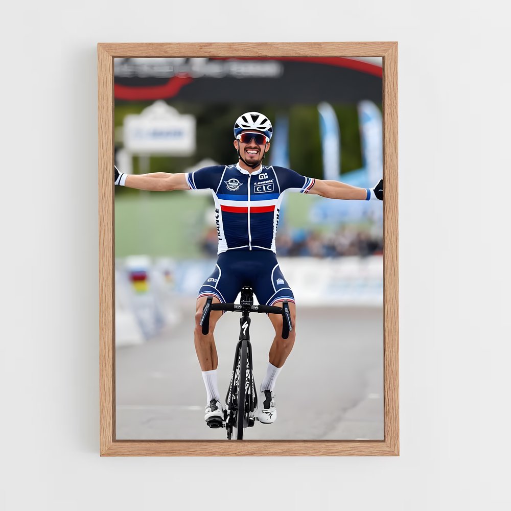 Poster Julian Alaphilippe Célébration (vue 4)