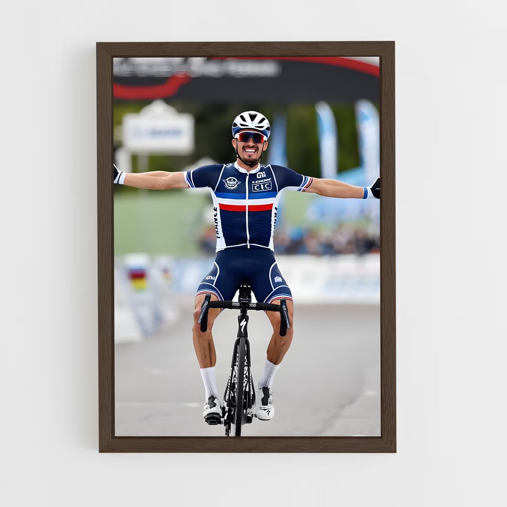 Poster Julian Alaphilippe Célébration (vue 5)