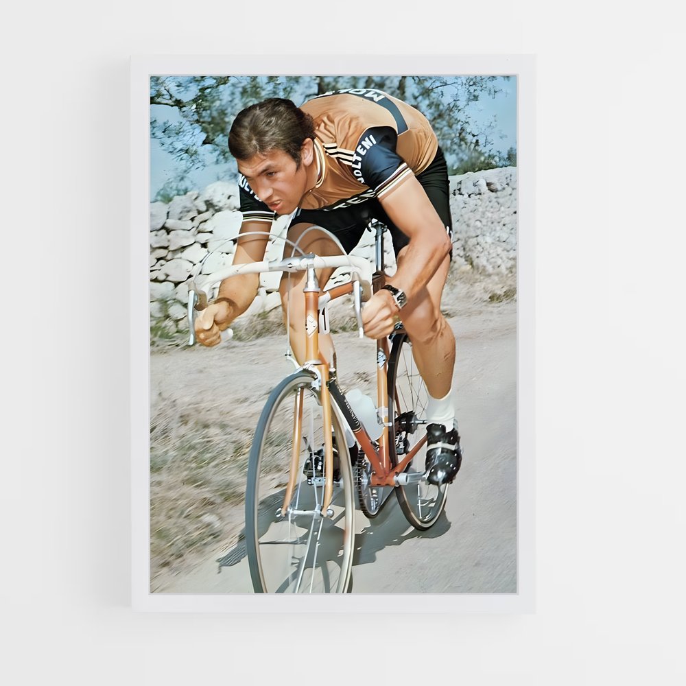 Poster Eddy Merckx (vue 3)