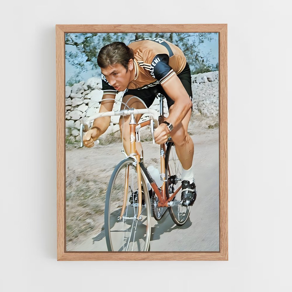 Poster Eddy Merckx (vue 4)