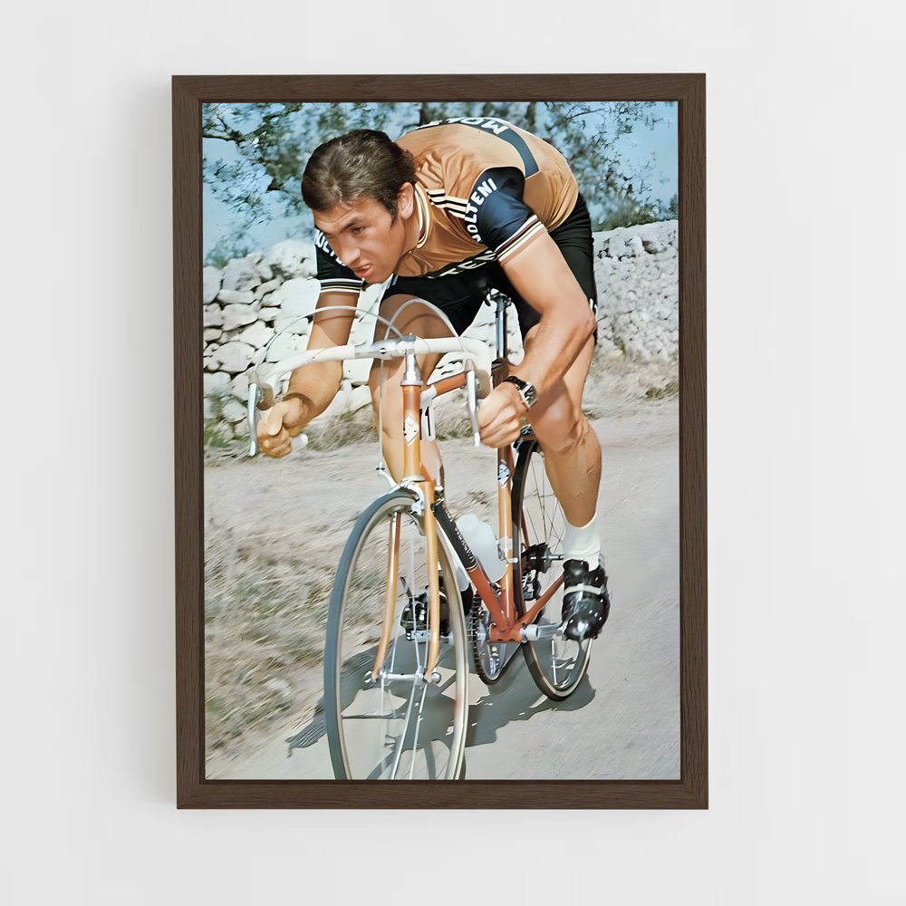 Poster Eddy Merckx (vue 5)