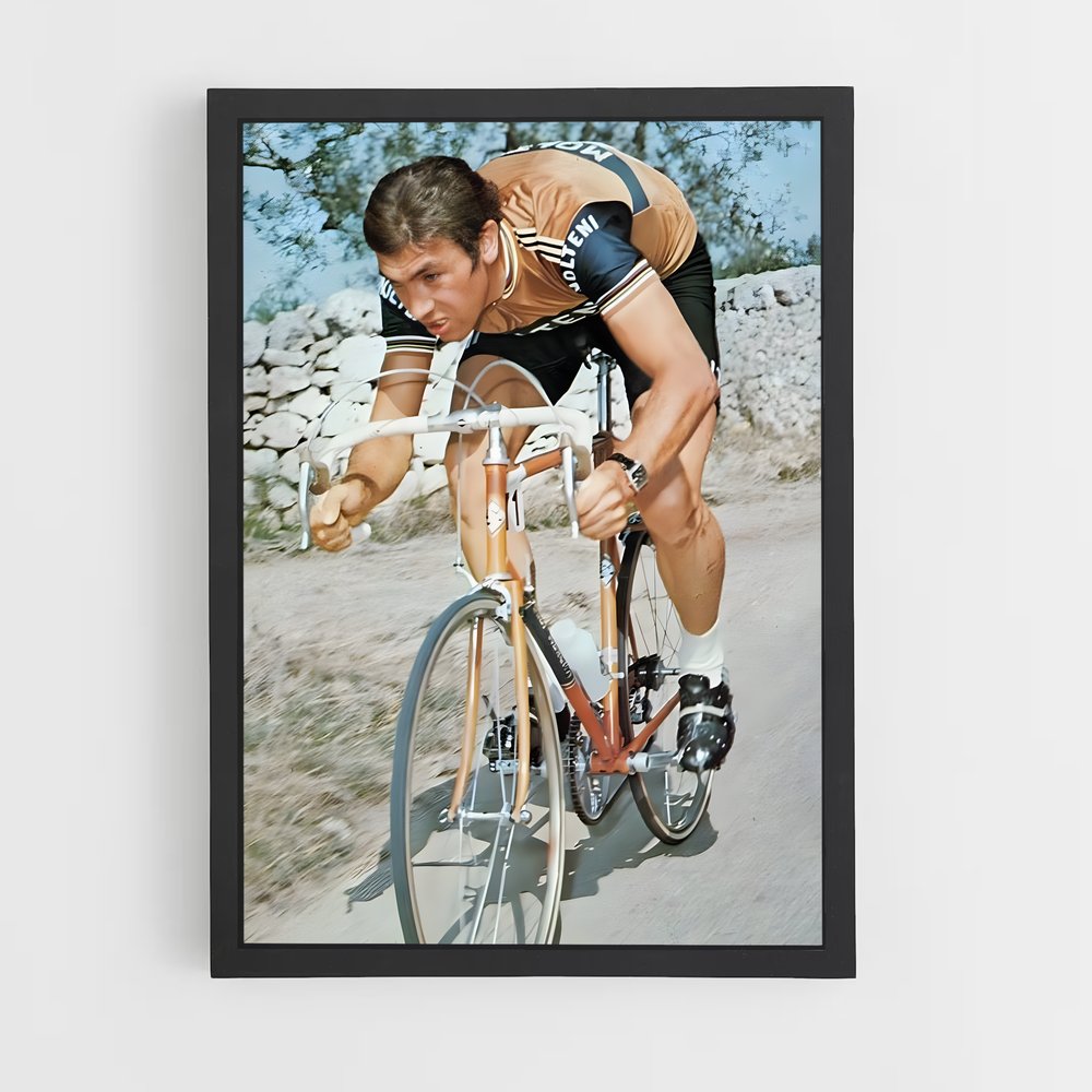 Poster Eddy Merckx (vue 2)
