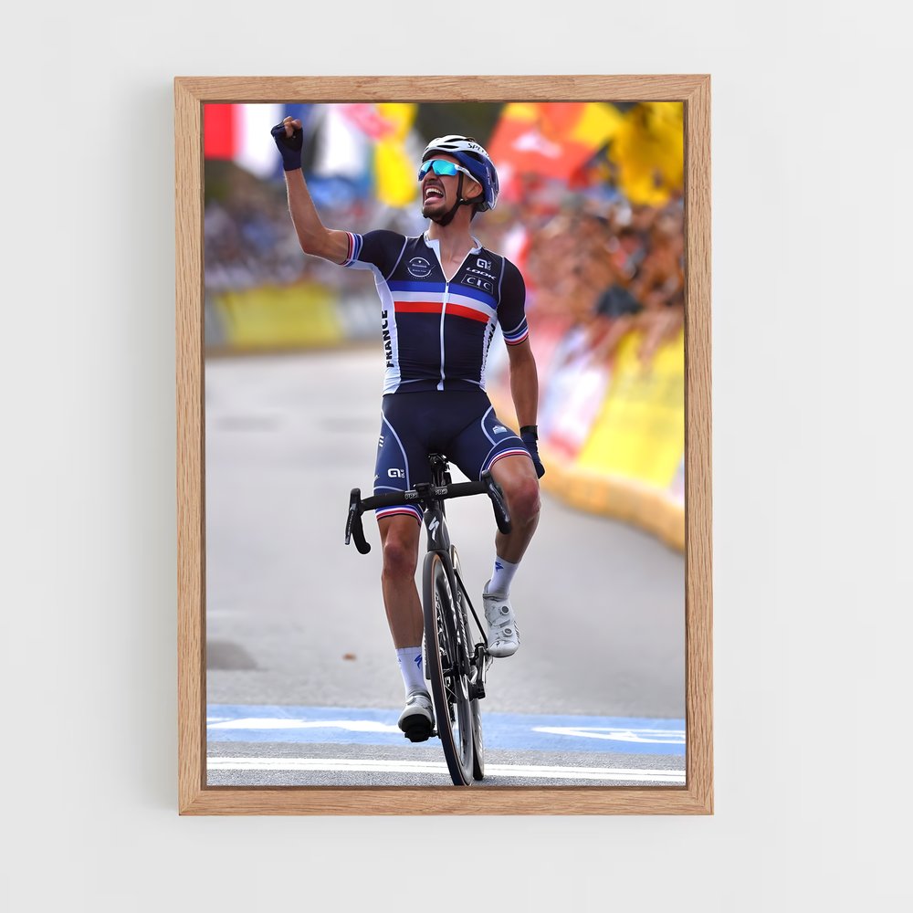 Poster Julian Alaphilippe (vue 4)
