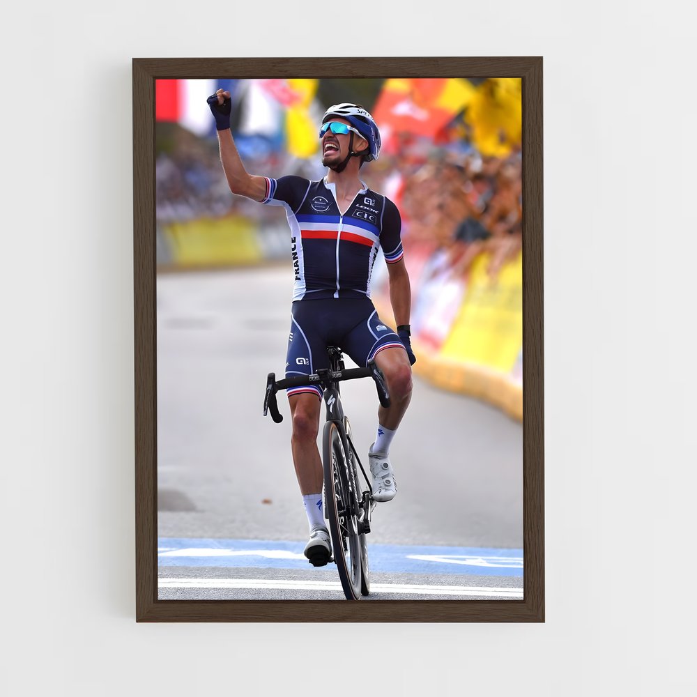Poster Julian Alaphilippe (vue 5)