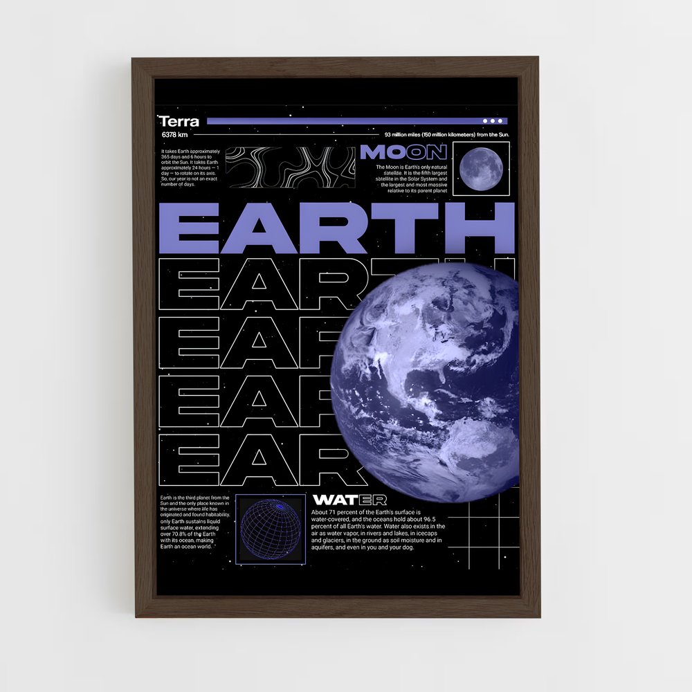 Poster Terre Informations (vue 5)