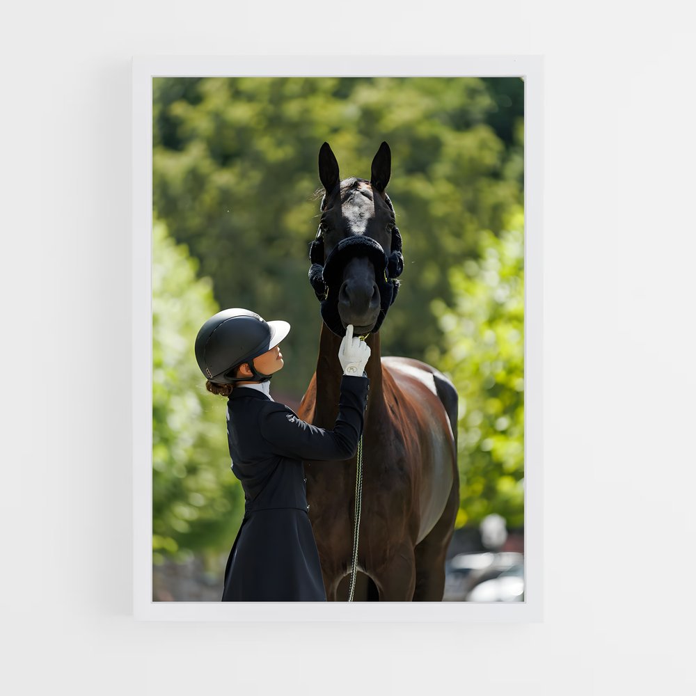 Poster Équitation Classe (vue 3)